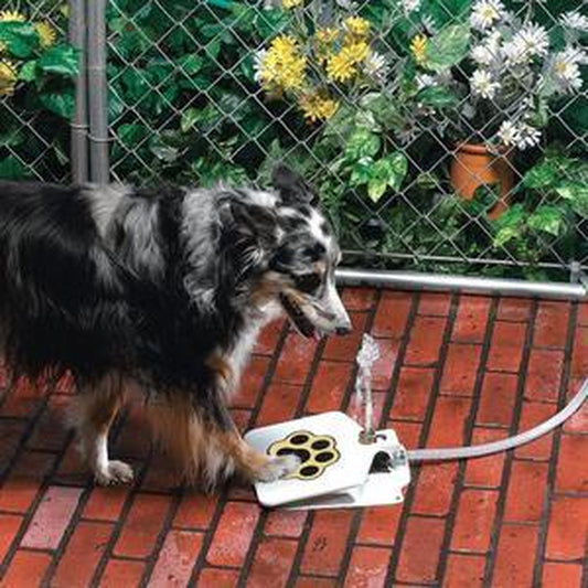 Outdoor Dog Pet Water Fountain – Step-On Paw Pad Activated Fresh Water Dispenser for Dogs | Durable Yard Pet Hydration Station