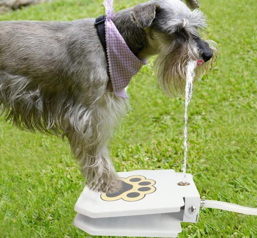 Outdoor Dog Pet Water Fountain – Step-On Paw Pad Activated Fresh Water Dispenser for Dogs | Durable Yard Pet Hydration Station